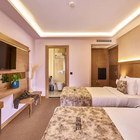 Hotel Atro 3*