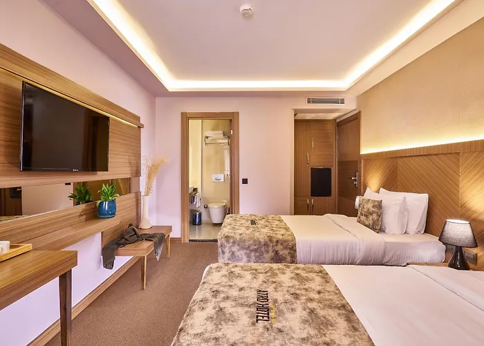 Hotel Atro 4*