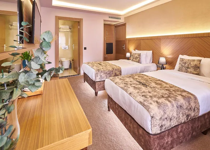 Atro Hotel 4*