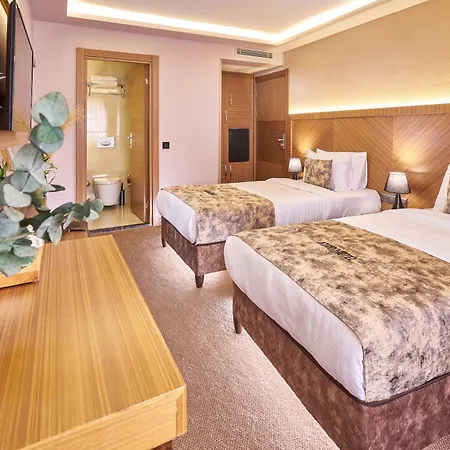 Atro Hotel 3*